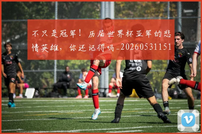 不只是冠军！历届世界杯亚军的悲情英雄，你还记得吗_20260531151214