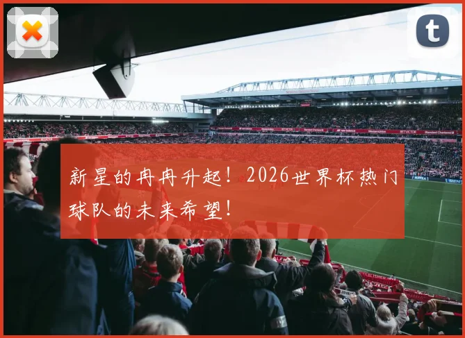 新星的冉冉升起！2026世界杯热门球队的未来希望！