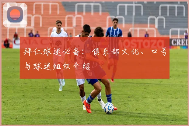 拜仁球迷必备:俱乐部文化、口号与球迷组织介绍
